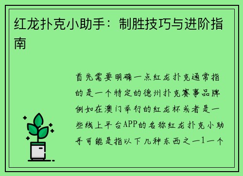 红龙扑克小助手：制胜技巧与进阶指南